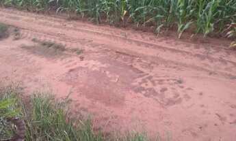 Imagem 2: Fazenda com 145 Alqueires à venda em Itapetininga