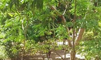 Imagem 6: Sítio Povoado Santa Tereza