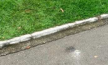 Imagem: Lote avenda jardins madri