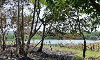 Imagem 6: Chácara em Miracema. 300mil