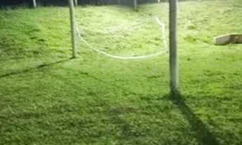 Imagem 3: Chácara 3 alqueires em americano do Brasil, 13 km da cidade de americano 1.300.000