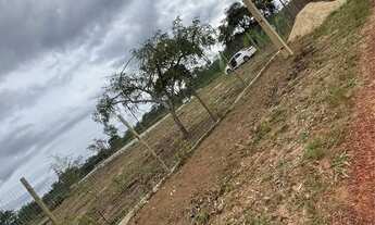 Imagem: Chacara 2mil metros proximo clube pentaurea