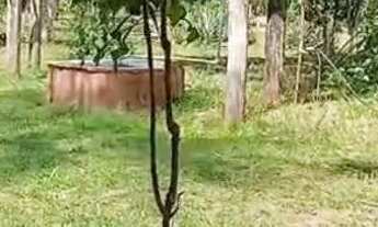 Imagem 2: VENDO LINDO SITIO