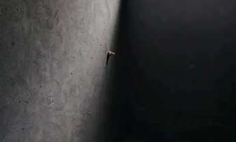 Imagem 6: Loja Comercial para Locação em Lauro de Freitas, Centro, 2 banheiros, 49 vagas