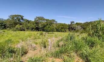 Imagem 7: Chácara no Córrego do Meio 14.9 Hectares - Próximo ao Colégio Agrícola