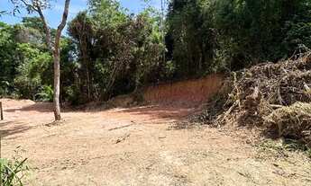 Imagem 4: Vendo terrenos em Córrego Sete