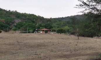 Imagem 2: Sítio para Venda em Palmeira dos Índios, Palmeira de Fora, 3 dormitórios, 1 suíte, 1 banhe