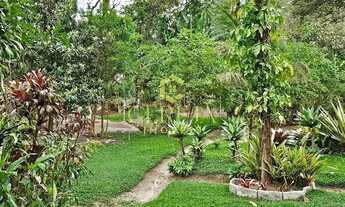 Imagem 6: Terreno Amplo no Parque São Clemente com 1.475m² e excelente topografia à venda por R$595