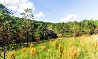 Imagem 4: Área São Luiz do Purunã - Witmarsum 31alq BR 376