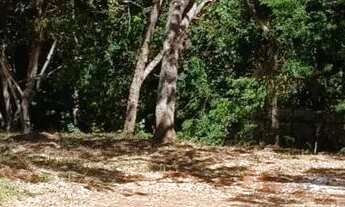 Imagem 2: Imóvel para venda com 885 metros quadrados em Setor Habitacional Jardim Botânico - Brasíli