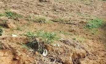 Imagem 2: Terreno à venda no Parque Jaguari (Fazendinha), em Santana de Parnaíba, com 595 m²