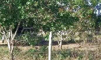 Imagem 5: Chácara com 3 quartos à venda, 48400 m² por R$ 1.370 - Vila Sao Jose - Jaraguá/GO