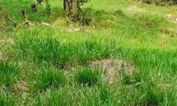 Imagem: Terreno em bairro nobre