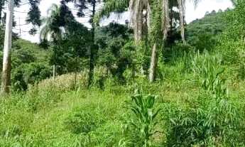 Imagem 5: Sítio bairro São Jacó, Nova Petrópolis.RS Ref.:159