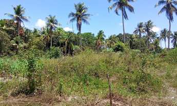 Imagem 3: Terreno no passo de Camaragibe bom perto da principal