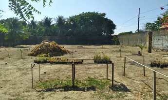 Imagem 5: Uma Chácara com aproximadamente 7200 m2 toda murada piscina deck com uma confortável casa