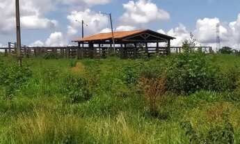 Imagem 7: Sítio 7.9 alqueires com rio em trindade Goiás