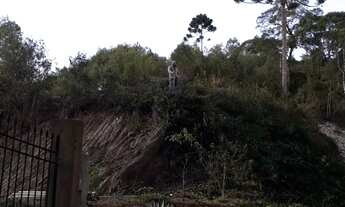 Imagem 3: Chácara em Almirante Tamandaré