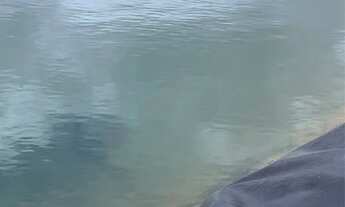 Imagem 2: Oportunidade Única! Propriedade com Estrutura Completa a 2 km de Monte Carmelo