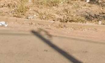 Imagem 6: Área com 2065 metros quadrados em Aparecida de Goiânia