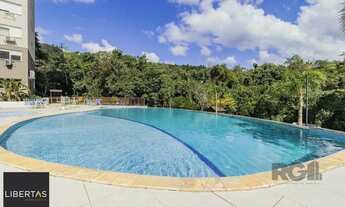 Imagem 6: Apartamento em Jardim Carvalho