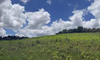 Imagem 7: Nvista antes da valorização no Bairro do Colégio Ibiúna