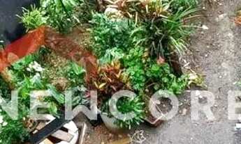 Imagem: Casa de Vila em Rua Mário Relles - Jardim