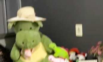 Imagem 2: Casa 2/4 a venda residencial talismã