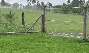 Imagem 7: Vendo chácara Chácara com venda por R$900