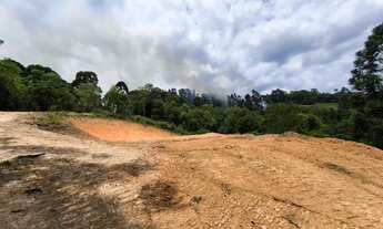 Imagem 6: Área 20.003m² Campo Largo, Bateias, doc 100%, lavoura, bosque, rio