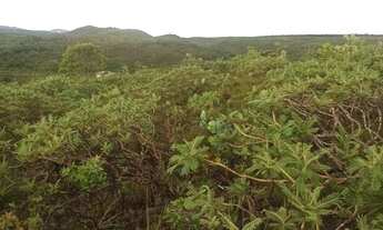 Imagem 7: Chácara 20.000 m2 Condomínio Com Cachoeira Corumbá de Goiás