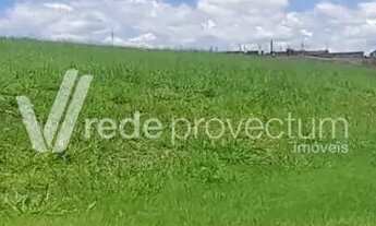 Imagem 7: Terreno - Parque São Quirino - Campinas