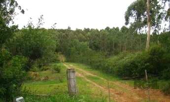 Imagem 4: Apartamento para Venda - 120m², 1 dormitório, 1 vaga - Centro Novo