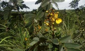 Imagem: Chácara Condominio Mirela 2