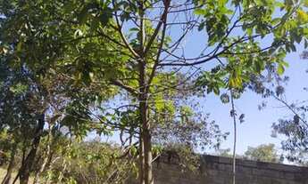 Imagem 7: CONTAGEM - Terreno Padrão - Quintas do Jacuba