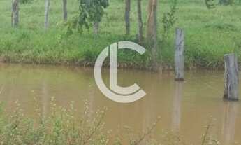 Imagem 3: FAZENDA DE 11 ALQUEIRES A VENDA LOCALIZADA NO MUNICÍPIO DE PIRENÓPOLIS