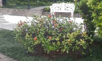 Imagem: Apartamento para aluguel possui 72 metros