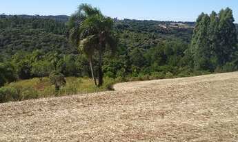 Imagem 7: Chácara Balsa Nova Bugre 20.000m², espetacular vista 360º, 40min Pq Barigui