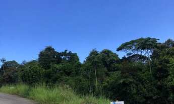 Imagem 6: BIGUAçU - Terreno Padrão - SANTA CATARINA