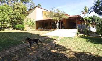 Imagem 3: Chácara Urbana Toda Formada Asfalto Porta Cidade Ocidental Goiás