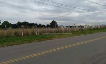 Imagem 1: SãO JOSé DOS PINHAIS - Terreno Padrão - Campo Largo da Roseira