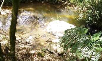 Imagem 6: Excelente Chácara