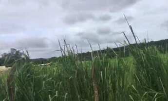 Imagem 5: Terreno - Samambaia Campus