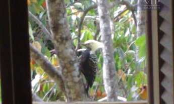 Imagem 3: Área à venda, 204229 m² por R$ 10.000.000,00 - Ratones - Florianópolis/SC