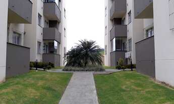 Imagem 3: JARAGUá DO SUL - Padrão - Amizade