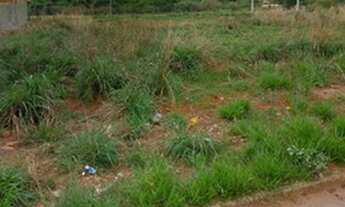 Imagem 4: Lote/Terreno Área 4 Lotes Juntos em Carolina Parque Complemento - Goiânia - Goiás