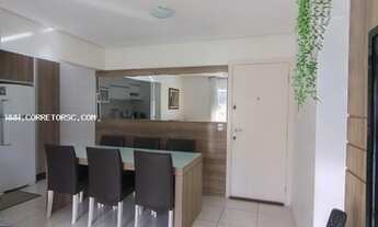 Imagem 7: Apartamento para Venda em Palhoça, Pedra Branca, 2 dormitórios, 1 suíte, 2 banheiros, 1 va