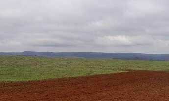 Imagem 5: Fazenda Município Ipameri - GO