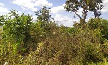 Imagem 4: Lote no bairro Nova Esmeraldas- Esmeraldas