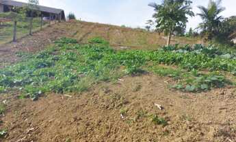 Imagem 3: Chácara para venda tem 12500 metros quadrados - Corupá - Santa Catarina